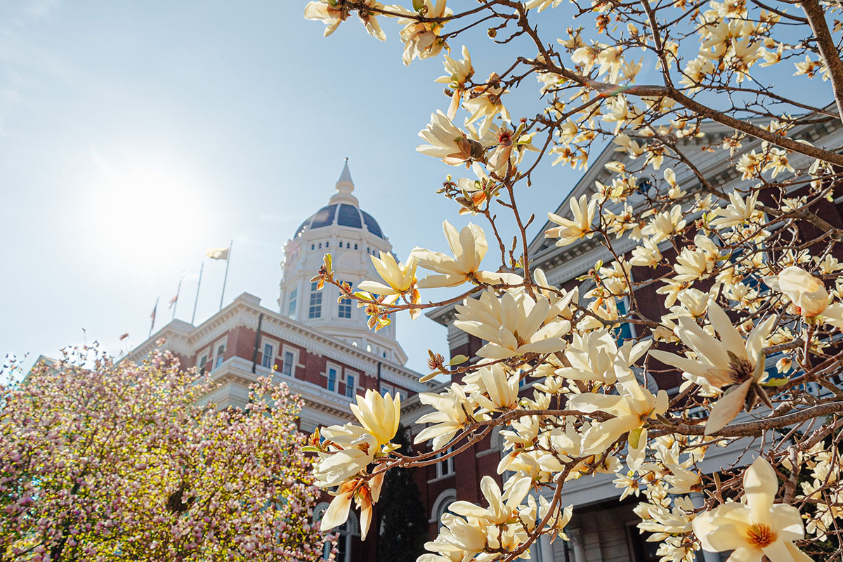 Happy first day of spring, Tigers! It's almost time for campus to be back in bloom. 🌸