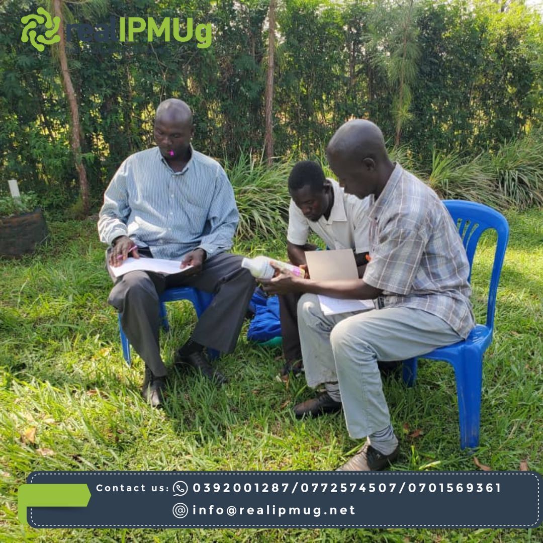 RealipmUG's tweet photo. Exciting developments in Busia! Local agrodealers now armed with IPM training, thanks to @TechnoServe and #HORTImap. From safe product use to effective spraying techniques, they're ready to champion sustainable farming practices. 🚜💡 #CommunityEmpowerment #Agribusiness https://t.co/mZEEcLJaGs