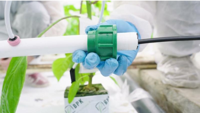 RoamTechnology's tweet image. Dive into the world of horticulture with us! We are proud to present our new horticulture video that we shot at one of our customer’s greenhouses.

Watch the video: bit.ly/3TqzKPY

#AgroSolutions #horticulture #biosecurity #greenhouse #disinfection #HuwaSan