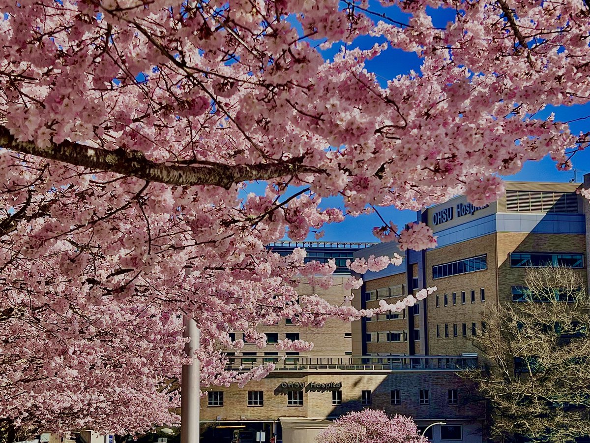 Spring 🌸 is already here on campus