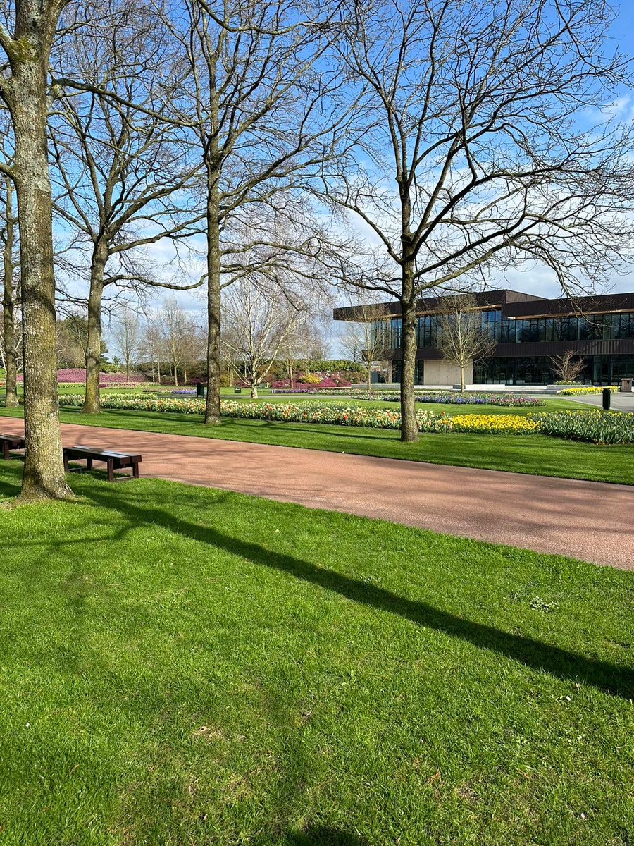 Official opening of Keukenhof today! Hello spring! #keukenhof #tulips