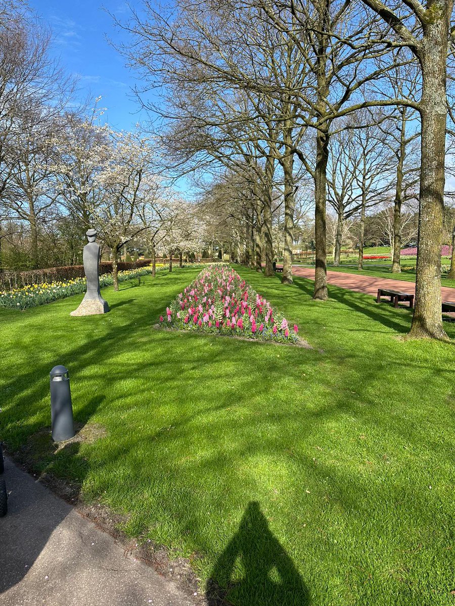 HTGservices's tweet photo. Official opening of Keukenhof today! Hello spring! #keukenhof #tulips https://t.co/FjB5W8eziv