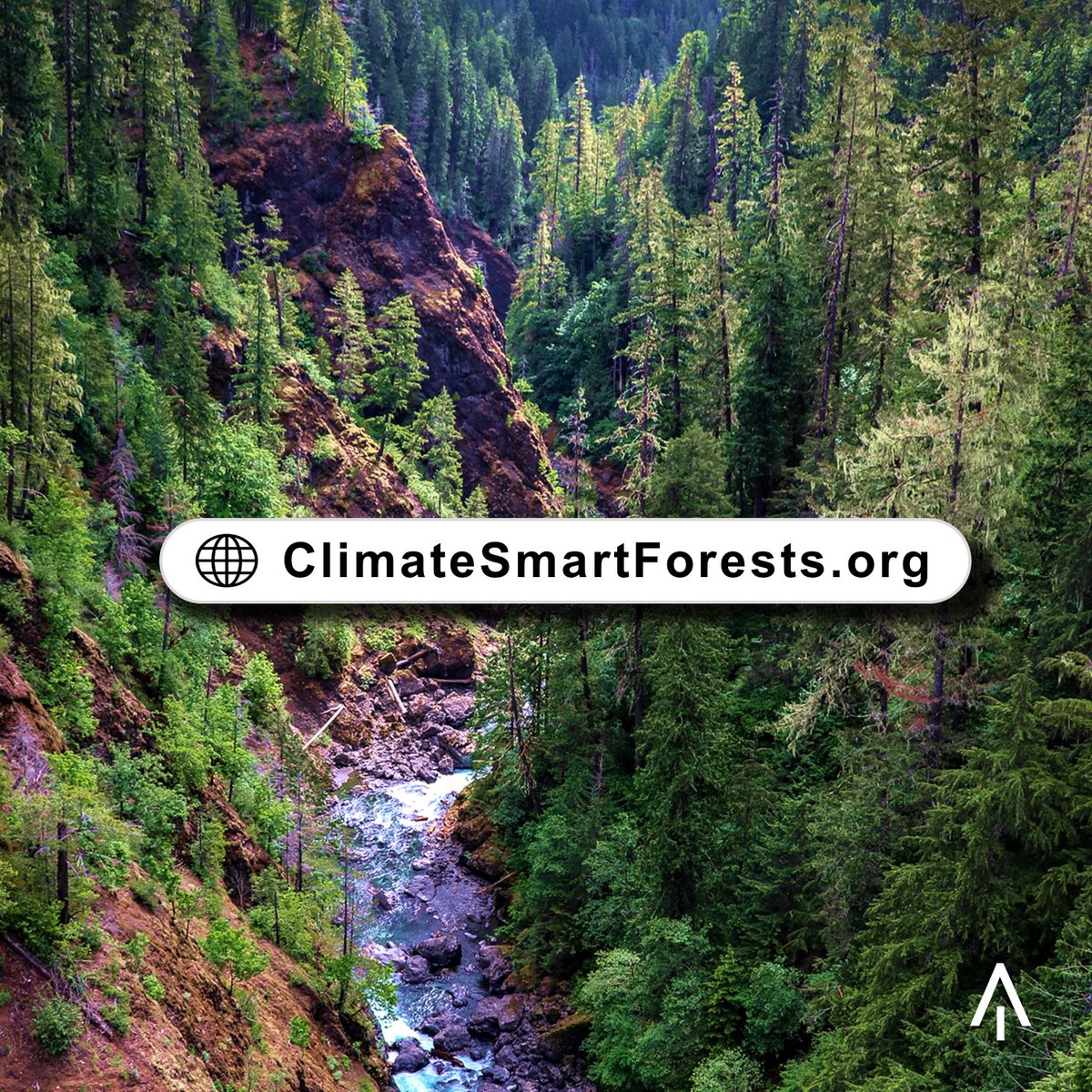 NAFO_Forests's tweet image. Like a forester and her favorite flannel shirt, sustainable forest management and climate-smart outcomes go together. Find out more at ClimateSmartForests.org. 

#ClimateSmartForestry #ModernForestry