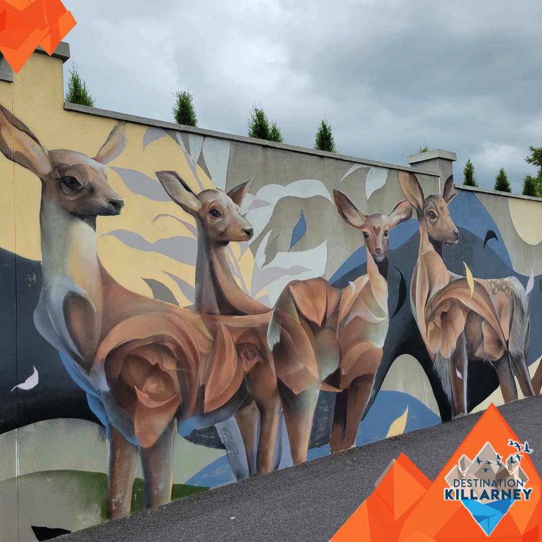 Discover the vibrant spirit of Killarney through its stunning wildlife murals! 🎨🐾 Take a stroll along the picturesque walkway behind the race course and see murals of all the various wildlife you can see around Killarney National Park 😍 Learn more destinationkilarney.ie