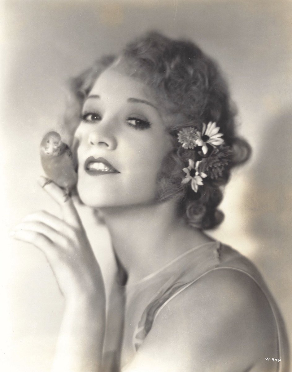 laura_la_plante's tweet photo. Happy Heavenly Birthday to Betty Compson! ❤️ #piscesqueen #mycollection https://t.co/cuYW4u4U88