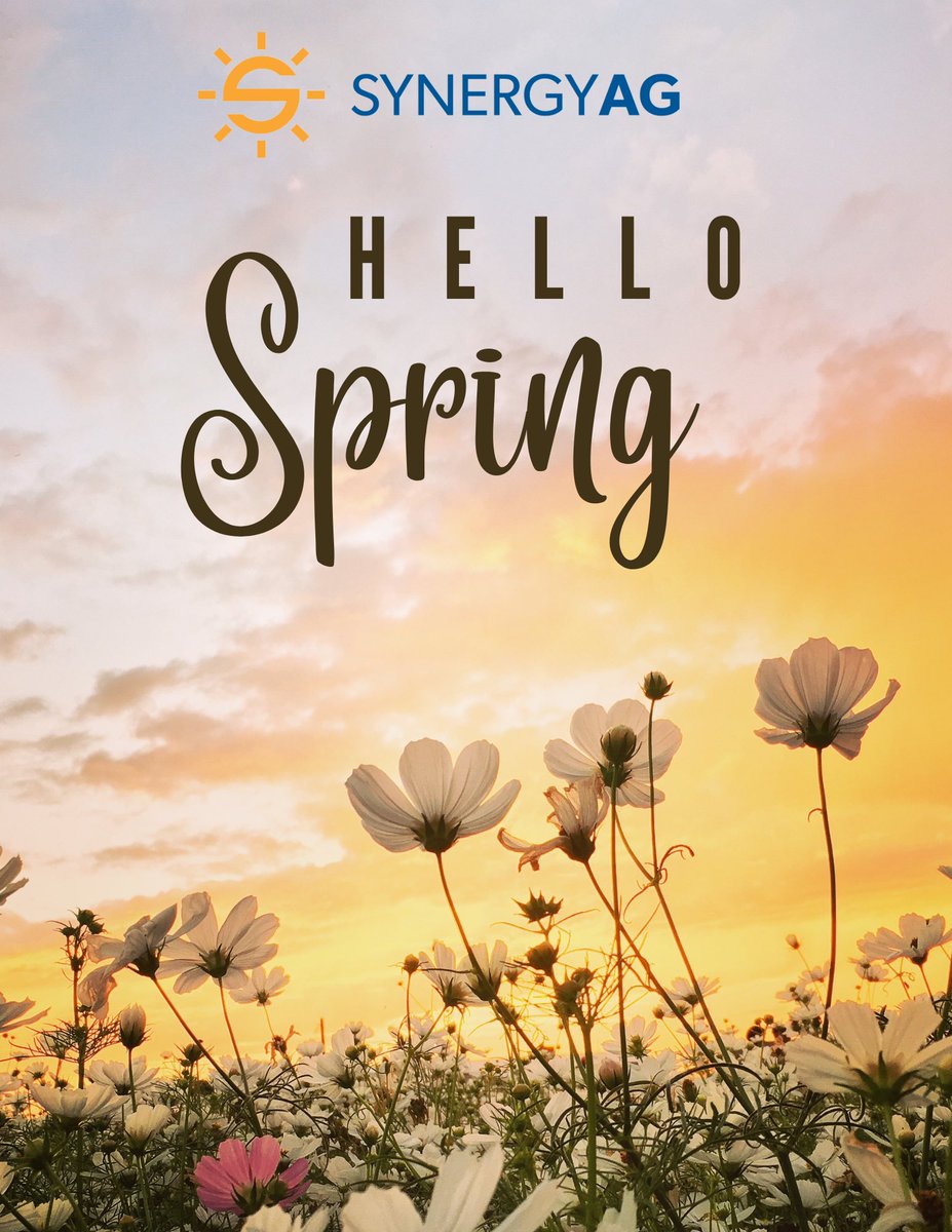 Happy 1st Day of #Spring 💐

#SynergyAg #rootsyoucancounton #springequinox #agriculture #farming #saskatchewan