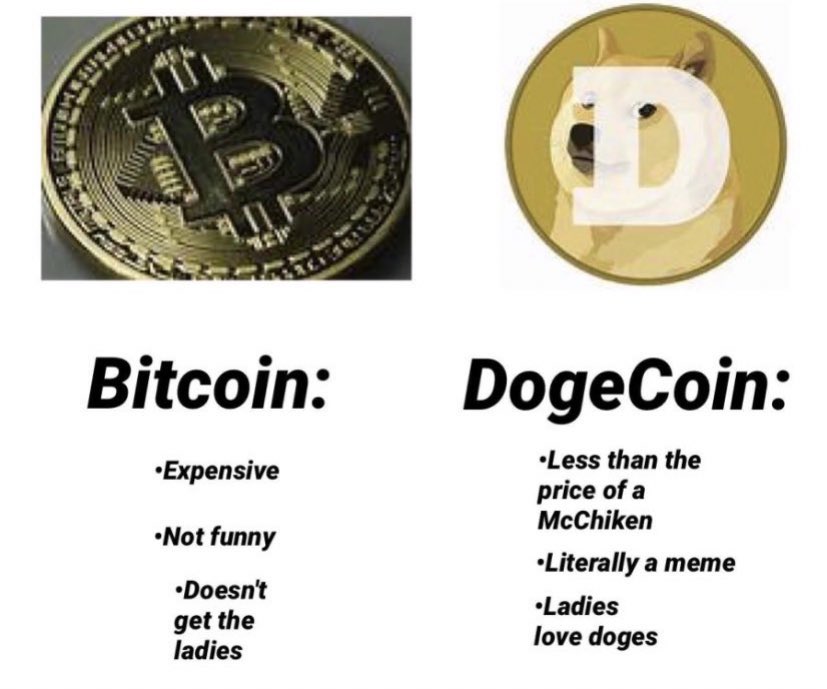 Sir Doge of the Coin ⚔️ tweet media