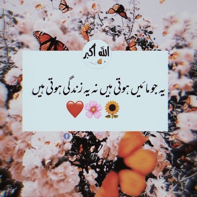 Maria Sial tweet media