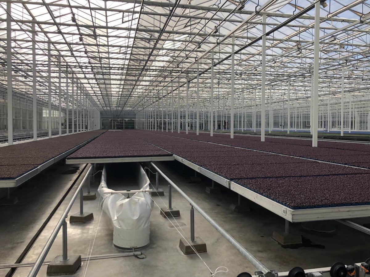 The horticulture trade mission from 🇹🇷 to 🇳🇱 kicked off in The Hague &amp; Westland, the Dutch horticulture region. 17 Turkish companies are visiting and meeting Dutch counterparts in greenhouse tech and smart farming,  strengthening collaboration &amp; building business opportunities.