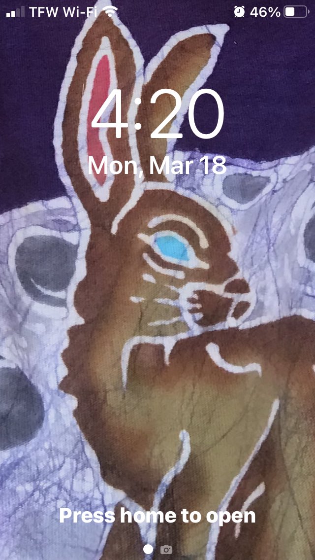 Jurassic Blueberries tweet media