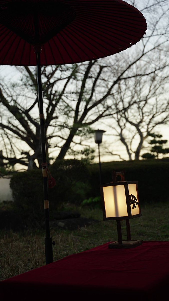 kagurakururu's tweet photo. 桜ロケでお借りした場所。
去年はこんな感じでした〜🌸
#studioORB https://t.co/wo94QL3x2S
