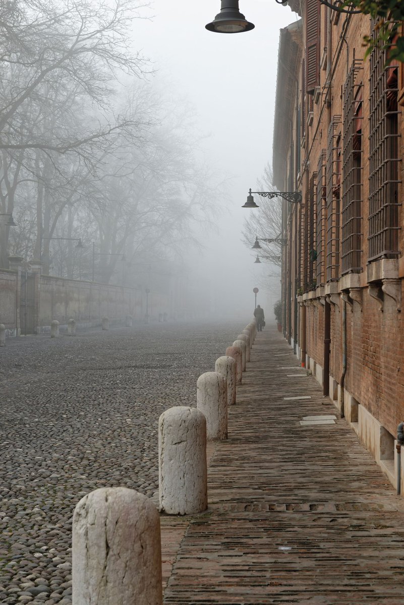 Ferrara e provincia tweet media