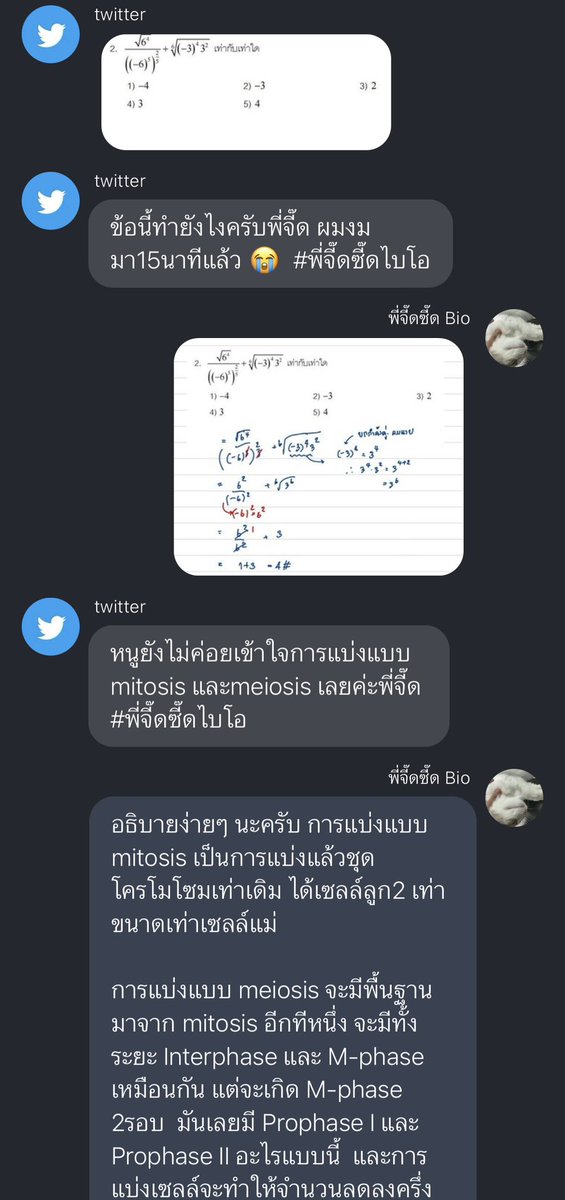 ✭ tweet media