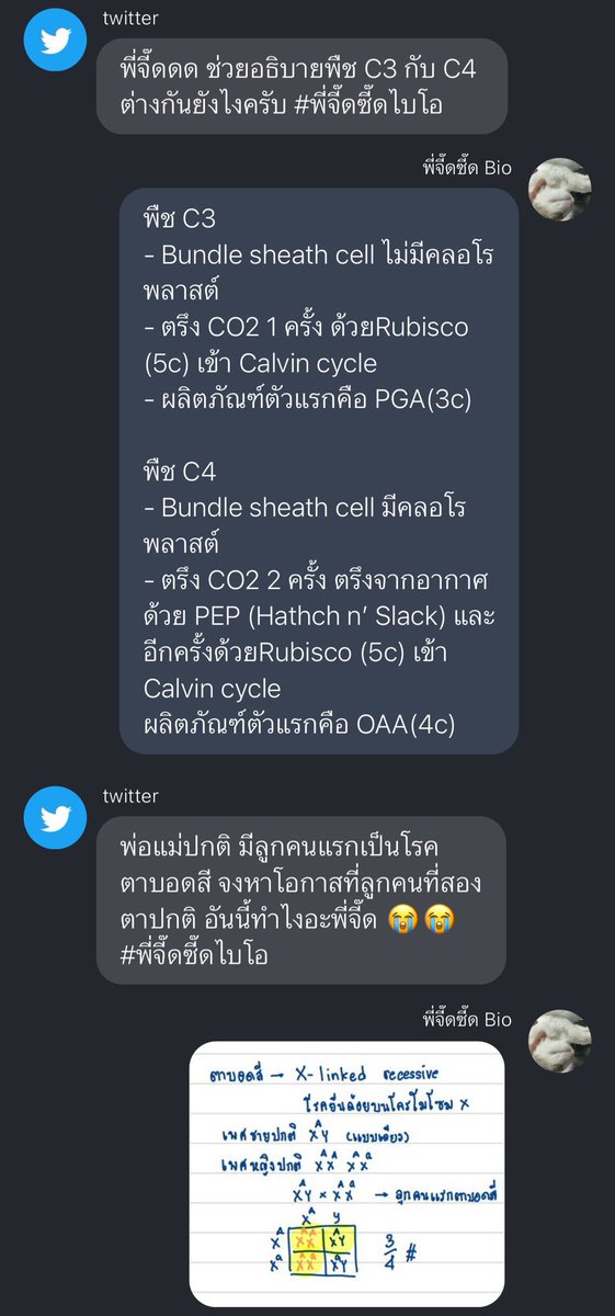 ✭ tweet media