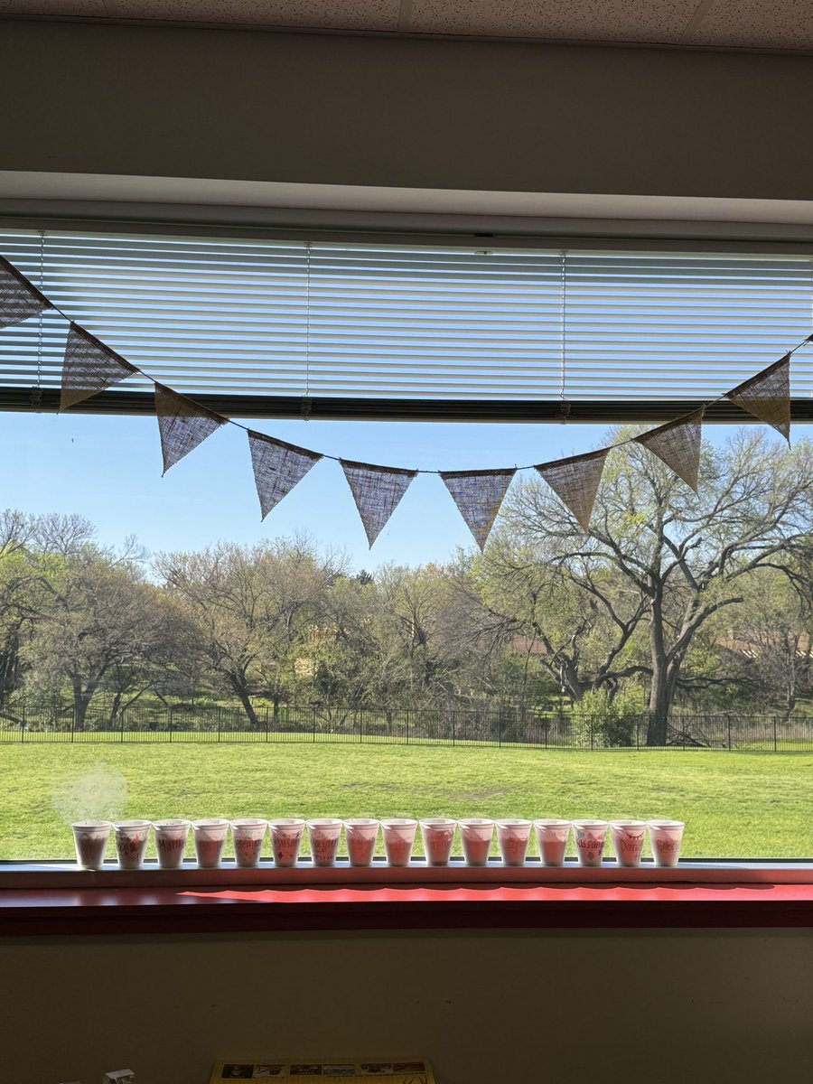 Using what we are learning about in module 8 to help support our procedural writing. Students also got to experience planting grass so that they’re able to connect a real-life experience with their writing.
