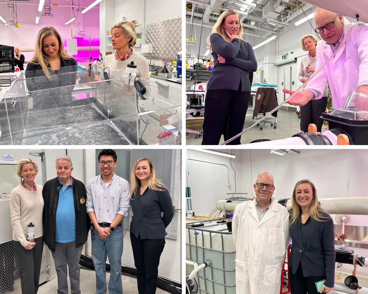 Urban Water TMU tweet media