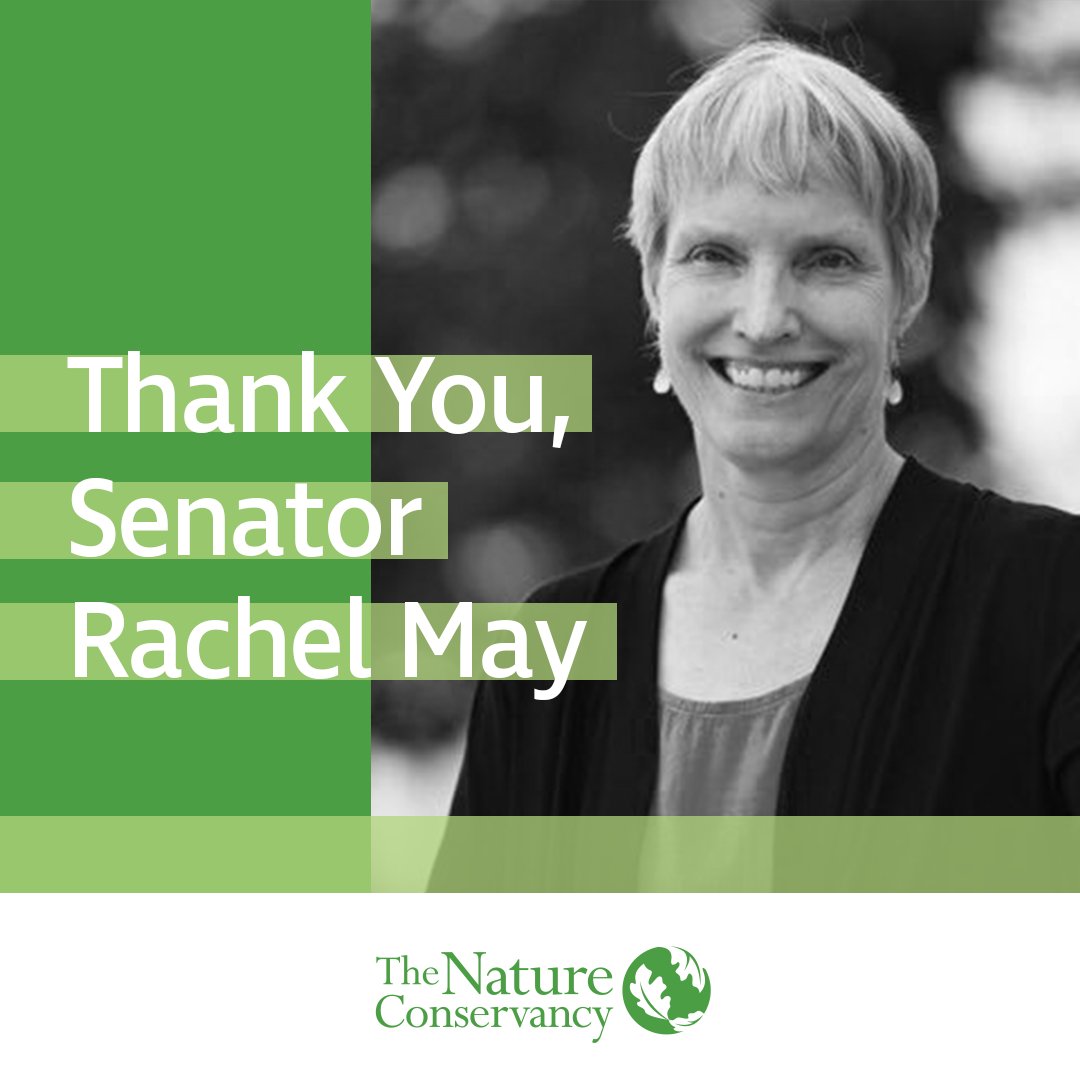 Thank you @RachelMayNY for your leadership in restoring funding for #NYEnviroFund & clean water projects in @NYSenate's one-house budget proposal! We all depend on clean water and a healthy environment. #FixOurPipes @CleanWater_Jobs