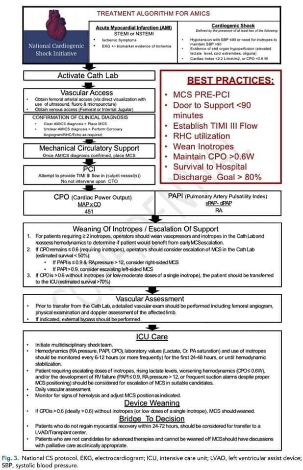 ZHeart11768530's tweet photo. 🔴 Management of Cardiogenic Shock in Patients with Acute Myocardial Infarction

https://t.co/PqrUM45mmY
#cardiology #CardioEd #CardioTwitter https://t.co/xY4hRCP17s