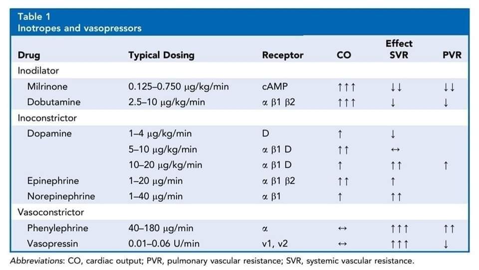 ZHeart11768530's tweet photo. 🔴 Management of Cardiogenic Shock in Patients with Acute Myocardial Infarction

https://t.co/PqrUM45mmY
#cardiology #CardioEd #CardioTwitter https://t.co/xY4hRCP17s