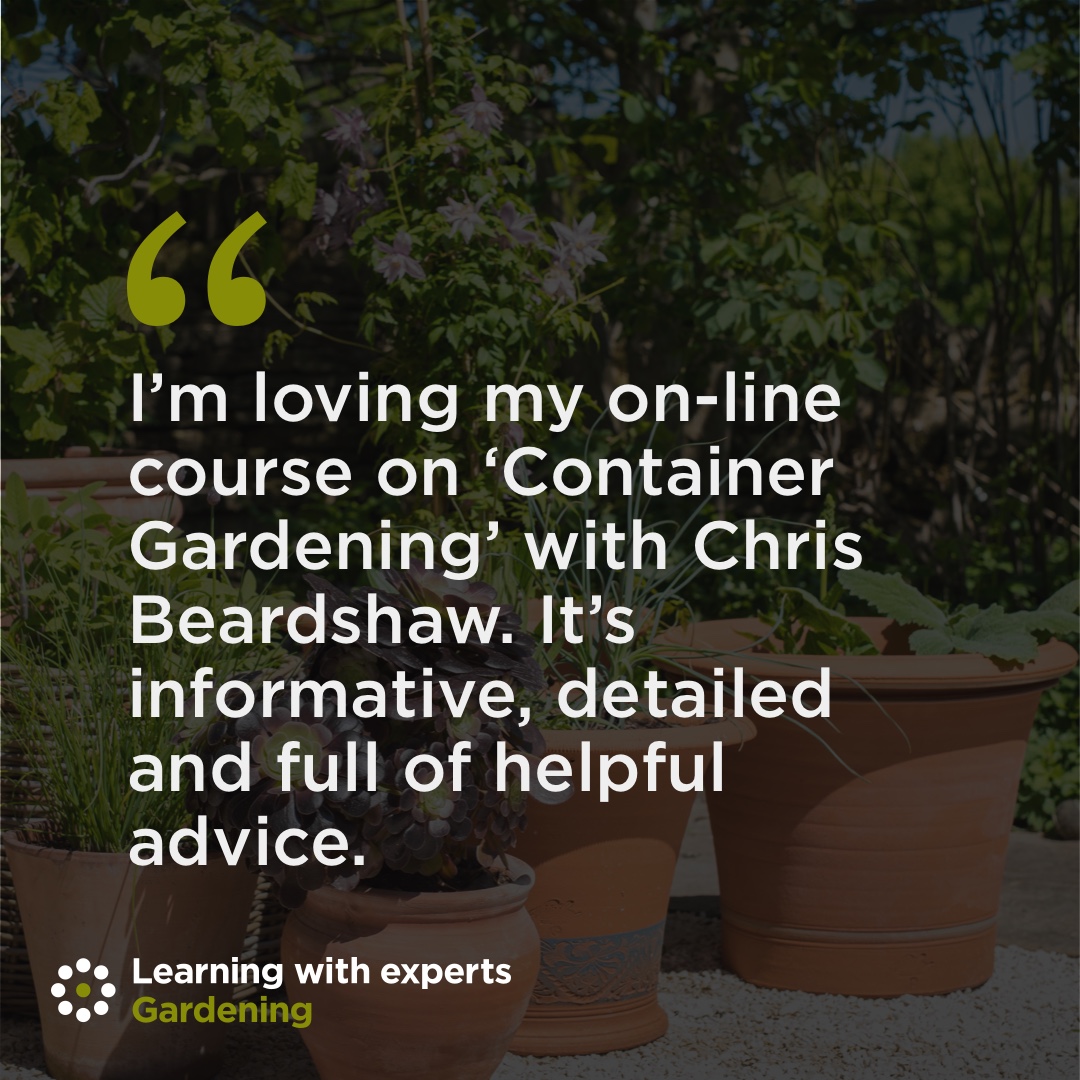 A recent review of the Chris Beardshaw 'Container Gardening' course (link in bio) showing not only the draw of expert-led learning but also the effort and knowledge Chris put into his course material. #gardening #gardendesign #LearningWithExperts