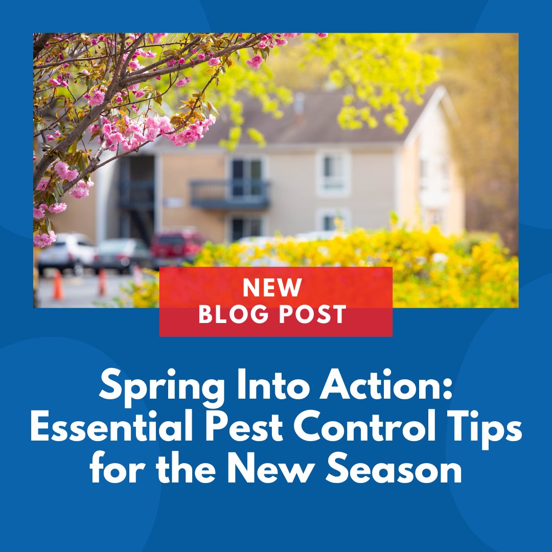 KnockoutPestNY's tweet photo. Blooms aren't the only thing springing up this season – pests are too! 🌸 Stay ahead of the game with our latest seasonal pest control tips to help you knockout spring pests: https://t.co/SaQBhTdvbM
#knockoutpestcontrol #pestcontrol #pestcontrolservice #exterminator #newyork https://t.co/KNTifDRqsO
