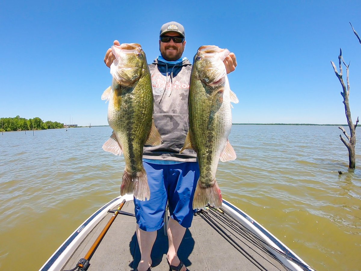 Chris Koerner tweet media