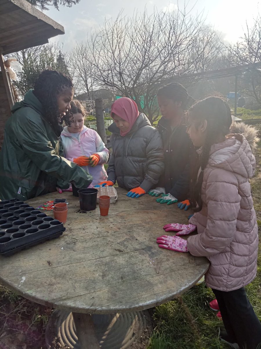 This is the last week for our Year 6 pupils #greenproject ⁦@pigs_tweet⁩ ⁦@WjgsS⁩