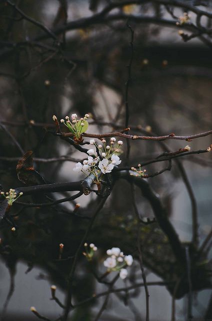 Happy Spring Equinox! 🌱🪺🌞