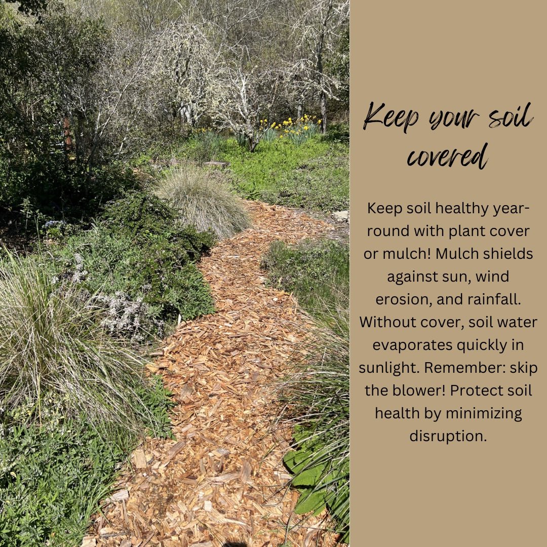 Spring is here, and it's the perfect time to get your hands dirty in the garden!  Let's kickstart the season with some gardening tips brought to you by the knowledgeable folks @smsfmastergardeners, in partnership with @sustainsmc