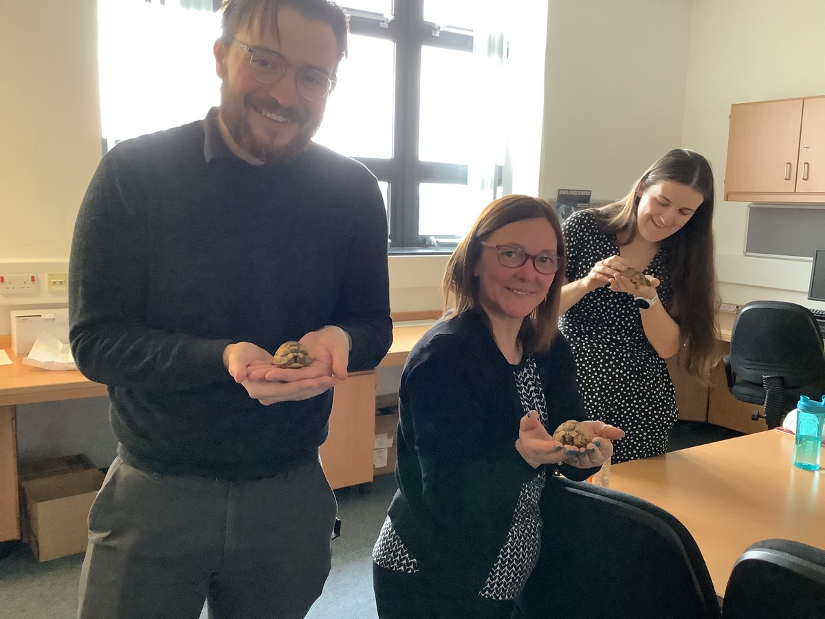 FHSComputingClub tweet media