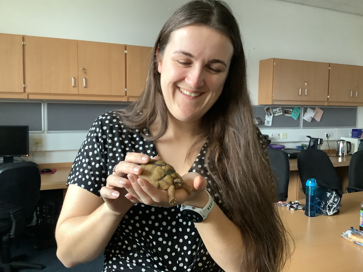 FHSComputingClub tweet media