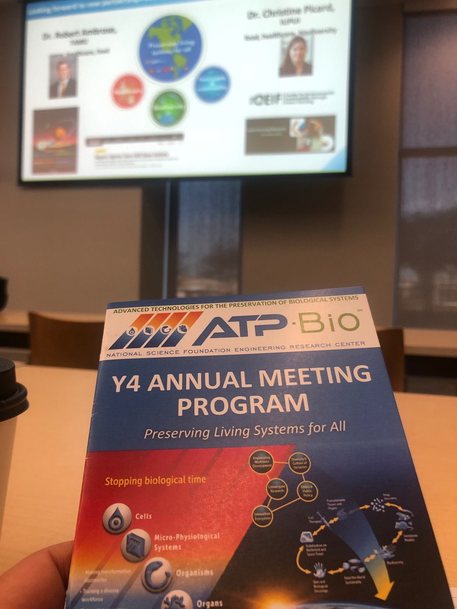 Rasha Al-attar tweet media