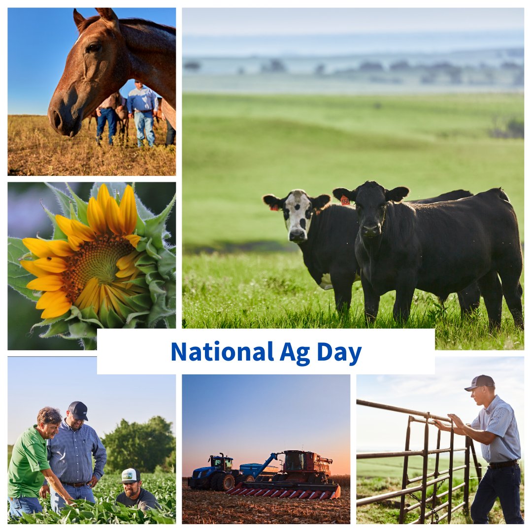 THANK YOU to everyone in the agriculture industry for your dedication to the land and your hard work to bring food to our tables! #NationalAgDay #AgDay2024