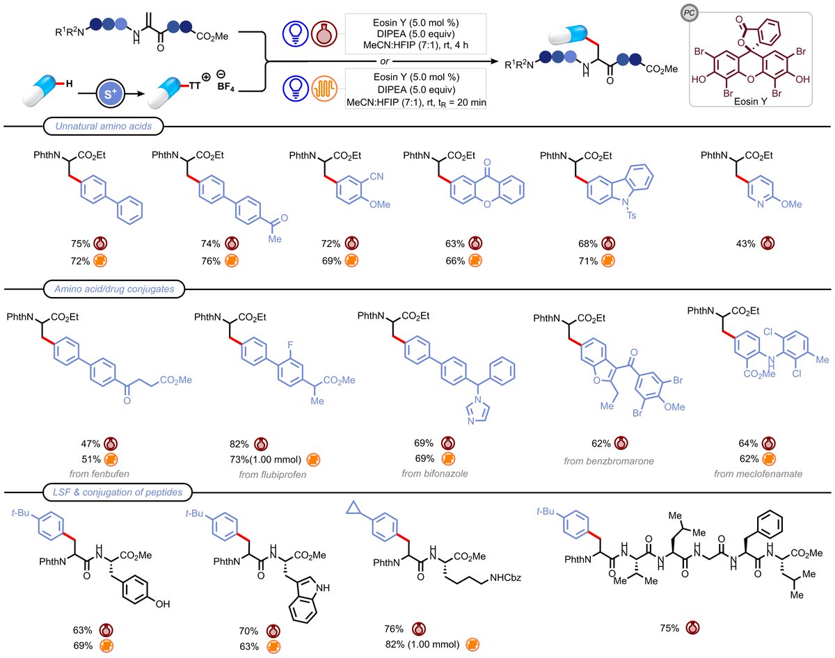 Check out our latest work on late-stage functionalization of dehydroalanine-containing peptides. Under our mild photocatalytic manifold, we were able to selectively arylate a plethora of amino acids and peptides with modular arylthianthrenium salts in batch and in flow.