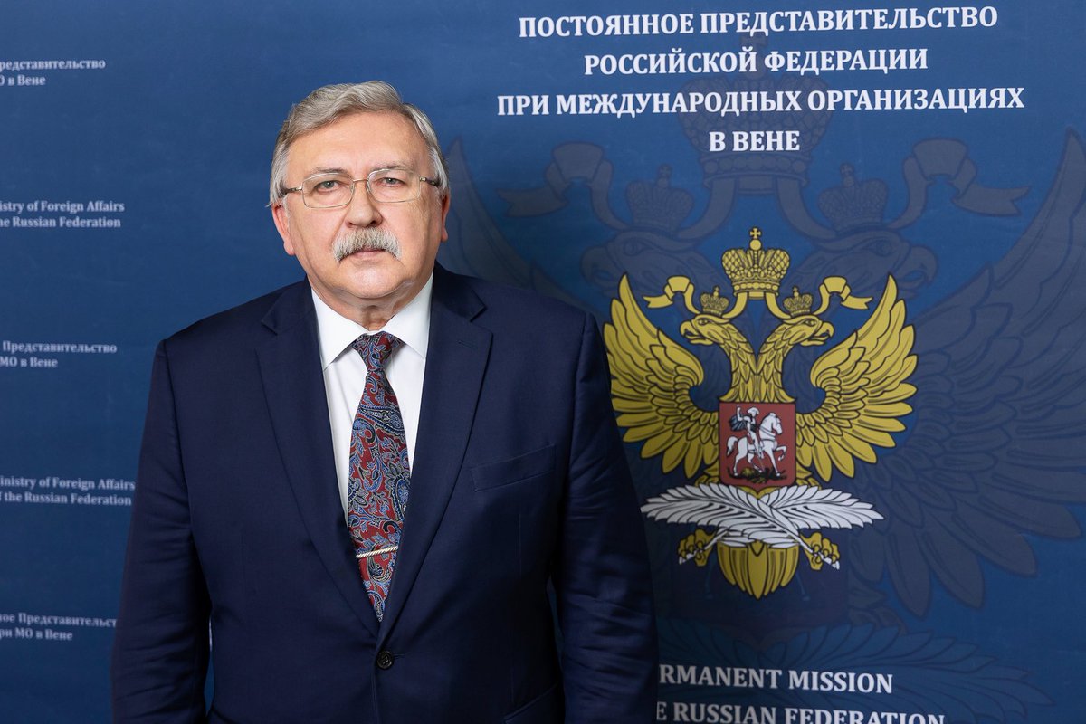 Russian Mission Vienna tweet media