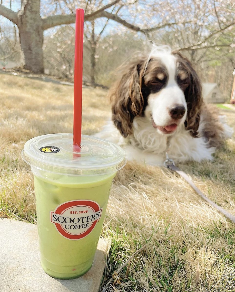 These spring vibes are immaculate 🌸 📷: Maggie Brews on Instagram ✨ Happy First Day of Spring✨ #scootonaround #firstdayofspring #scooterscoffee