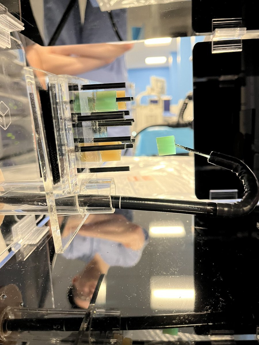Eran Shlomovitz (@eshlomovitz) on Twitter photo Was great to participate in the Flexible endoscopy bootcamp for general surgery residents. Lots of fun practicing some endo skills on the BEST Box. <a href="/AFecso/">Andras B. Fecso</a> <a href="/TemertySimCtr/">Temerty Advanced Surgical Education & Sim Centre</a> <a href="/Samir_Grover/">Samir C. Grover, M.D.</a> <a href="/MichenerInst/">The Michener Institute of Education at UHN</a> Was great to participate in the Flexible endoscopy bootcamp for general surgery residents. Lots of fun practicing some endo skills on the BEST Box. <a href="/AFecso/">Andras B. Fecso</a> <a href="/TemertySimCtr/">Temerty Advanced Surgical Education & Sim Centre</a> <a href="/Samir_Grover/">Samir C. Grover, M.D.</a> <a href="/MichenerInst/">The Michener Institute of Education at UHN</a>