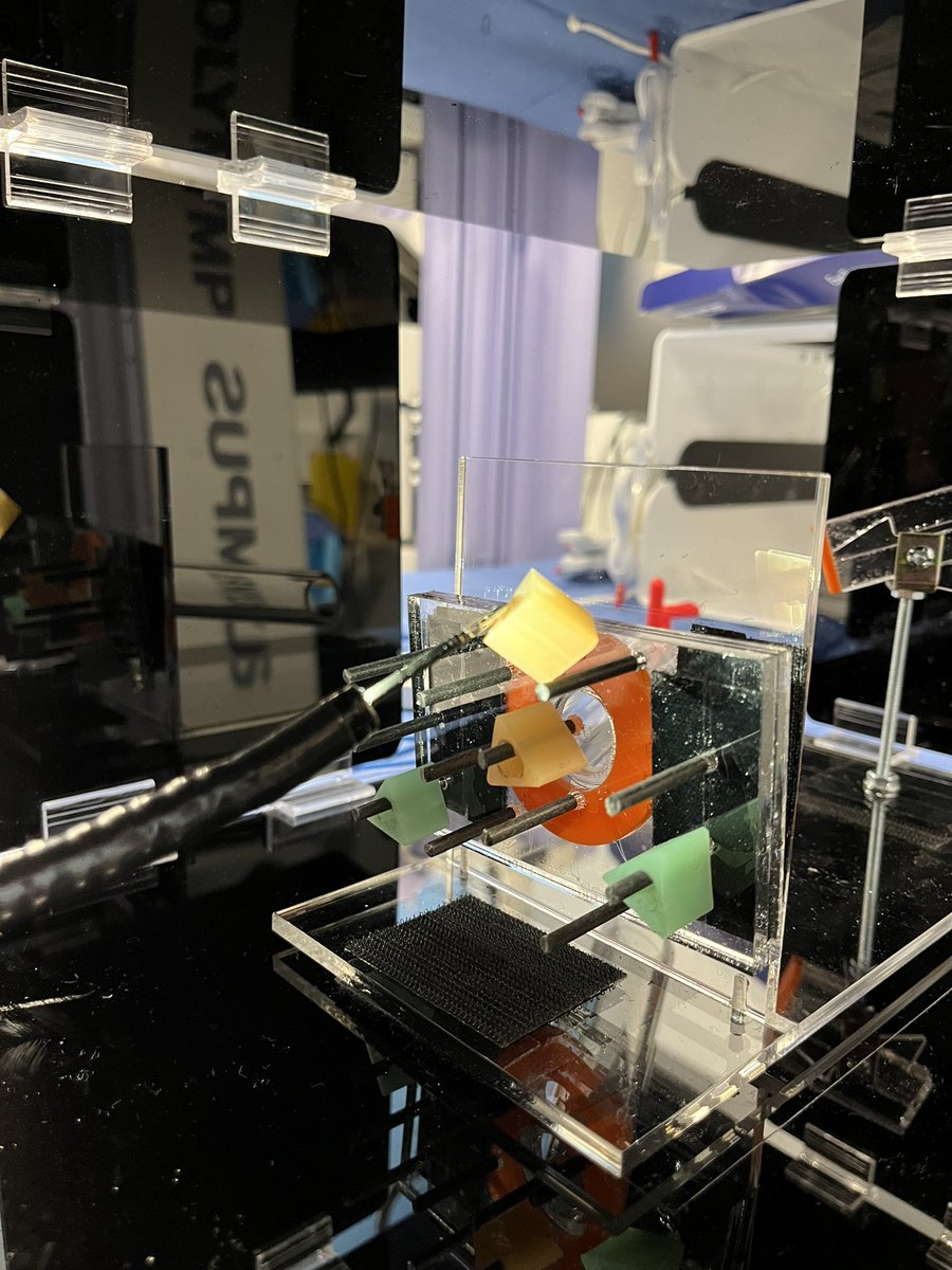 Eran Shlomovitz tweet media