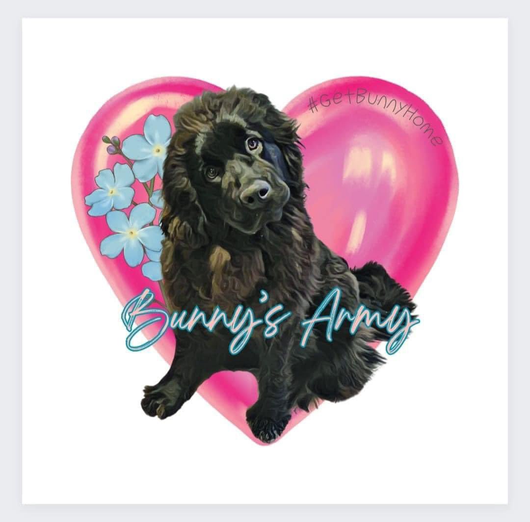 rosiedoc666's tweet image. 💕💕💕 #GetBunnyhome  💕💕💕