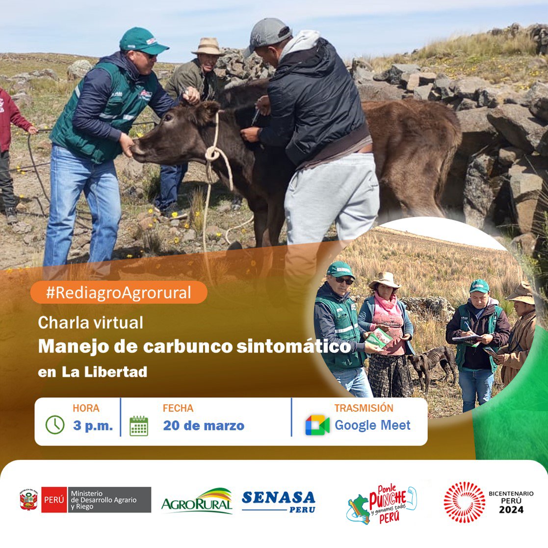 agroruralPER's tweet photo. #LaLibertad #Rediagro #AgroRural 💻 | Participa de la charla virtual " Manejo de carbunco sintomático".
✅ Inscripciones: https://t.co/vc7MHSaGDq
✅ Enlace de reunión: https://t.co/6MMSXdMDwG https://t.co/HrXxS43TJm