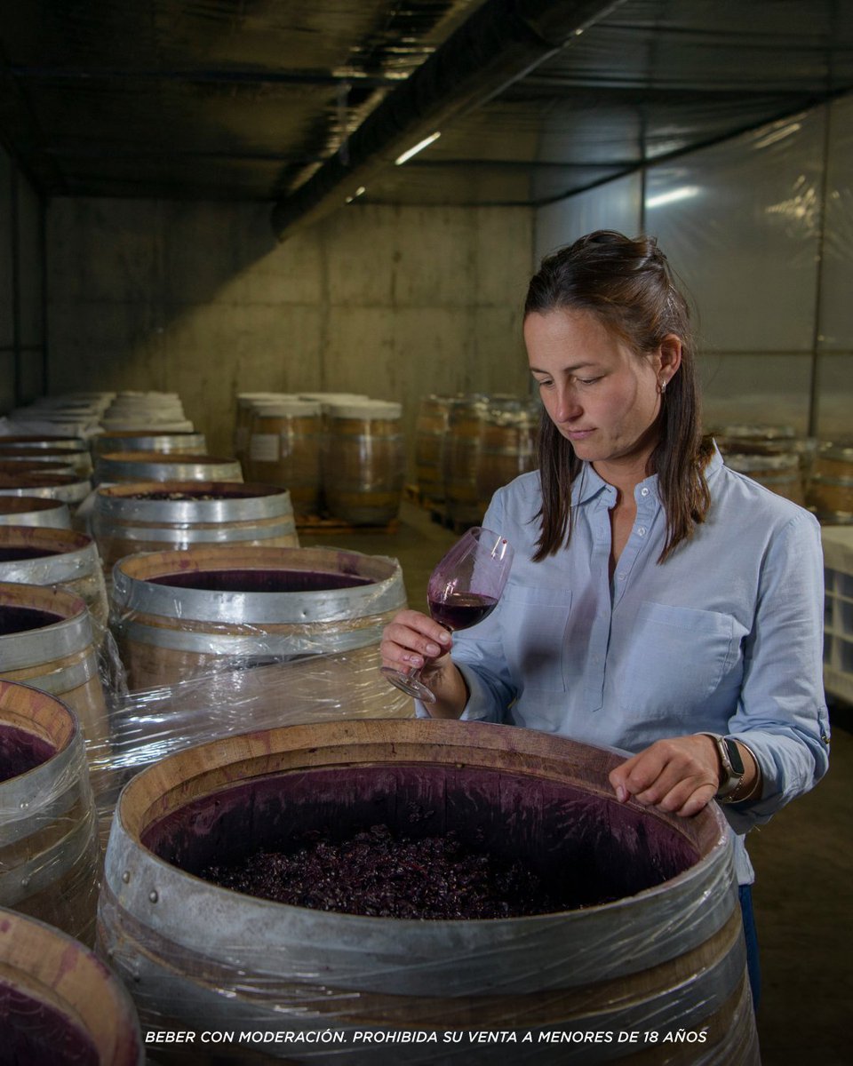 Gabriela García a cargo del Departamento de Investigación y Desarrollo de nuestra bodega. Desde el 2008, despliega su conocimiento en la bodega para elaborar vinos de la más alta calidad. #Vendimia2024 #vino #bodegas #valledeuco #salentein #saleteinwines #salenteinbodega