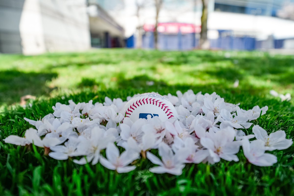 Peak bloom!!! You know what that means 👀🌸 Countdown to Opening Day is ON - SEE. YOU. THERE.
