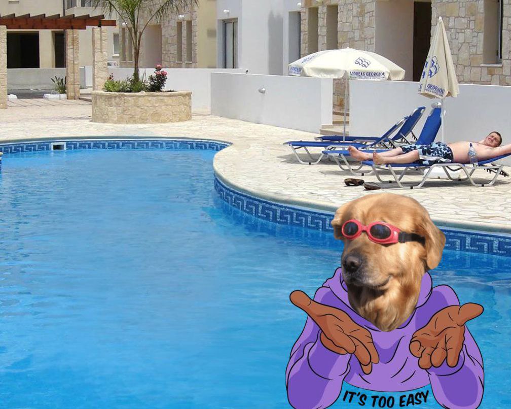 <a href="/IcedKnife/">Iced</a> Buy those $DIP these discount wont last long
<a href="/doginthpool/">doginthpool</a>