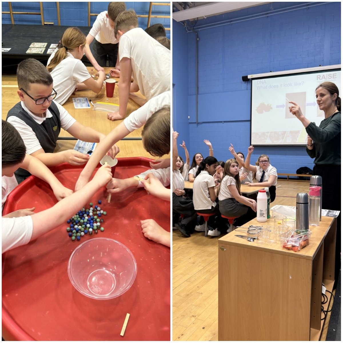 TodholmPs's tweet image. P7 also enjoyed taking part in the activities hosted by @CaledonianNews today 😁 @ScienceWeekUK #BSW24 #STEM