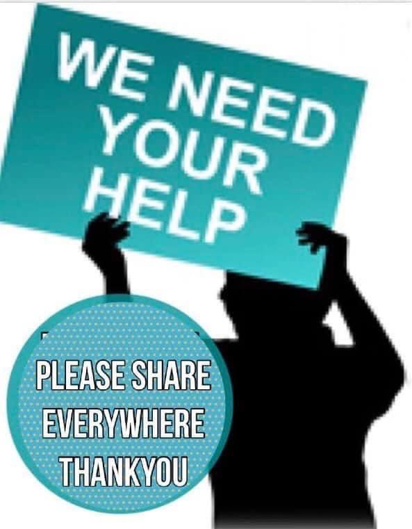 rosiedoc666's tweet image. #GetBunnyhome 

SOMEONE KNOWS WHERE THIS BEAUTIFUL LADY IS 
WHAT HAPPENED, DID THESE PEOPLE CATCH UP WITH BUNNY? 

She’s only young…ONE YR OLD 
SHES ONLY EVER KNEW THE LOVE OF HER FAMILY 
She would of been terrified 

Missing #HEXHAM 5/3/24 after ppl chased her in QUADS 🤬