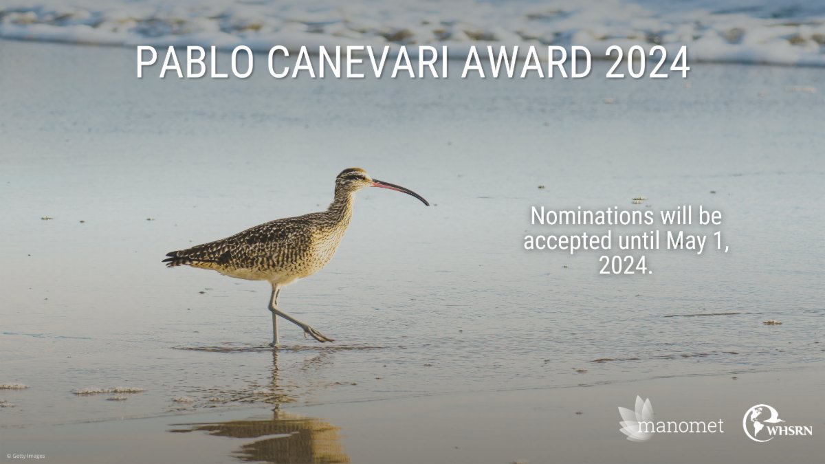 WHSRN (@whsrn) on Twitter photo PABLO CANEVARI AWARD 2024
To nominate an individual or organization for the 2024 Pablo Canevari Award, complete the nomination form and send it to whsrn@manomet.org, by May 1, 2024.
More info about the Award: whsrn.org/es/acerca-de-w… PABLO CANEVARI AWARD 2024
To nominate an individual or organization for the 2024 Pablo Canevari Award, complete the nomination form and send it to whsrn@manomet.org, by May 1, 2024.
More info about the Award: whsrn.org/es/acerca-de-w…