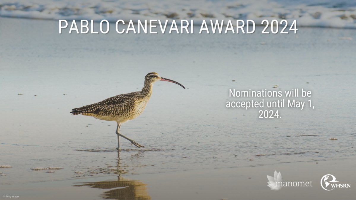 PABLO CANEVARI AWARD 2024 To nominate an individual or organization for the 2024 Pablo Canevari Award, complete the nomination form and send it to whsrn@manomet.org, by May 1, 2024. More info about the Award: whsrn.org/es/acerca-de-w…