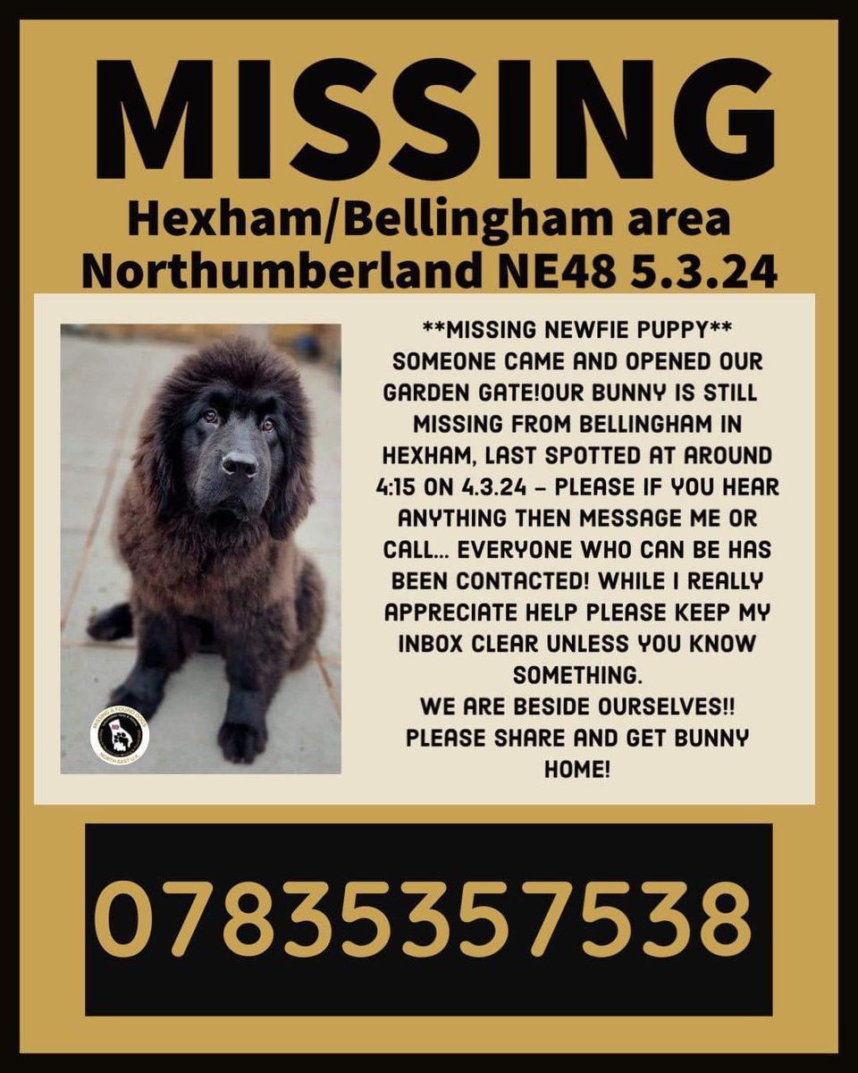 janice_adams3's tweet image. #GetBunnyhome 
A black female ONE YEAR OLD chipped #Newfoundland owners were prepping to show dogs at #Crufts

She would of been petrified, Is she still running/hiding. We need to know
BUNNYS FAMILY ARE BROKEN HEARTED 💔