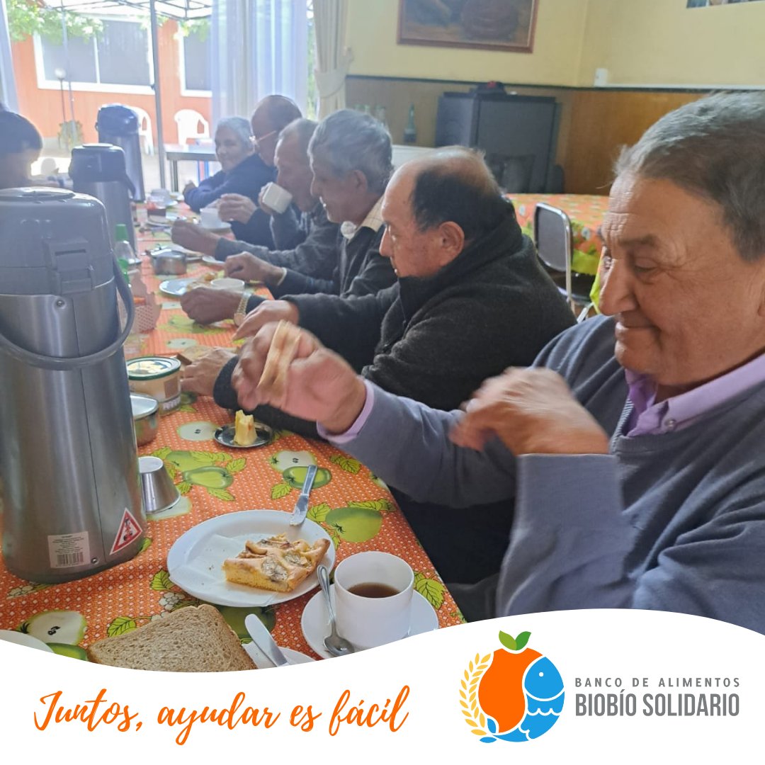 Banco de Alimentos Biobío Solidario tweet media