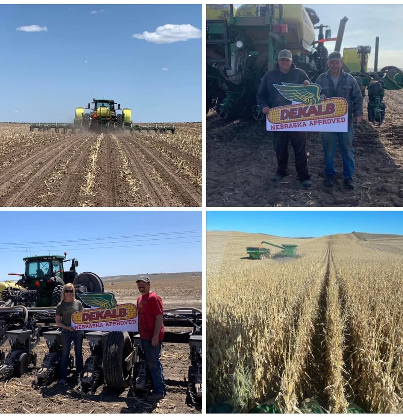 We thank our farmers, producers, and partners across the ag industry! Your hard work and dedication fuels our success and shapes the future of agriculture. #NationalAgDay #Bayer4NE #Dekalb